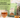 Organic Adaptogen Tea | Tea of the Week