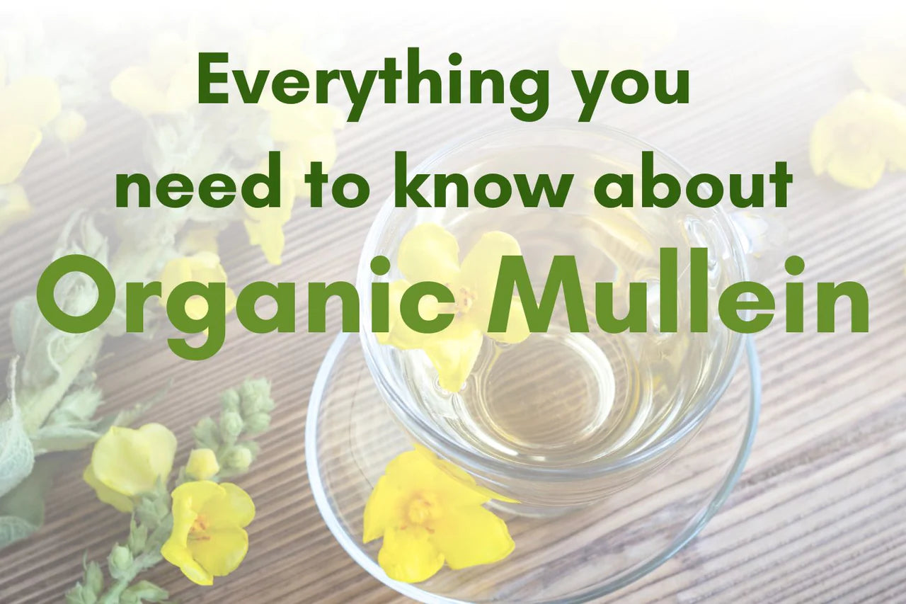 Everything You Need to Know about Organic Mullein